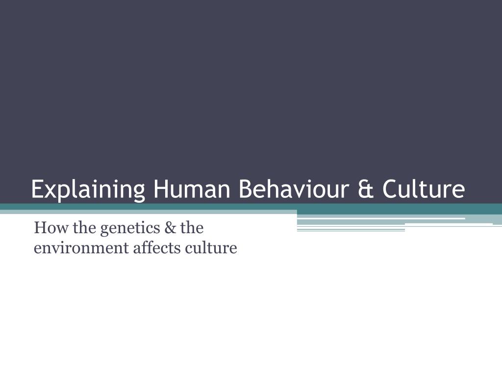 PPT - Explaining Human Behaviour & Culture PowerPoint Presentation - ID ...
