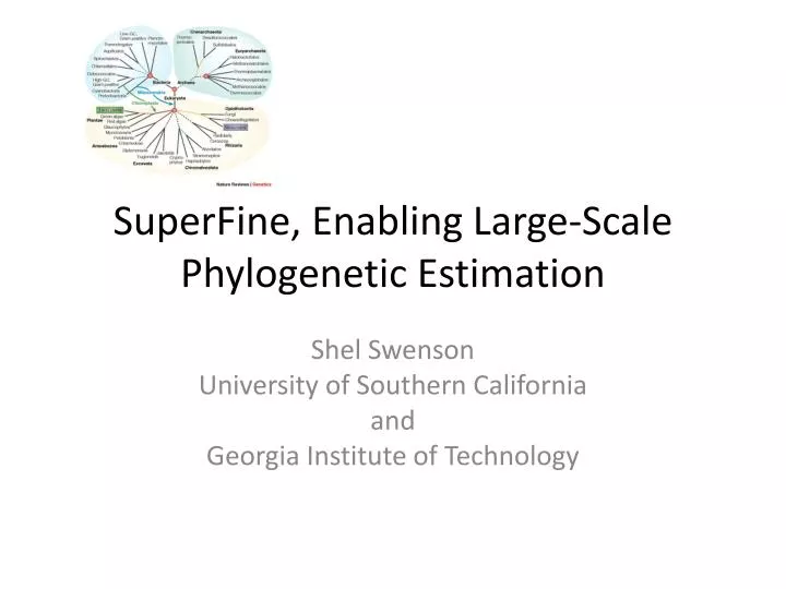 superfine enabling large scale phylogenetic estimation