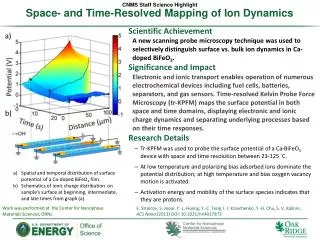 Space- and Time-Resolved Mapping of Ion Dynamics