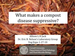 What makes a compost disease suppressive?