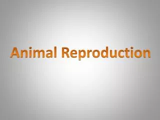 Animal Reproduction