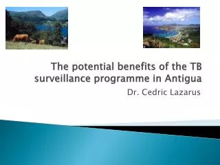 The potential benefits of the TB surveillance programme in Antigua