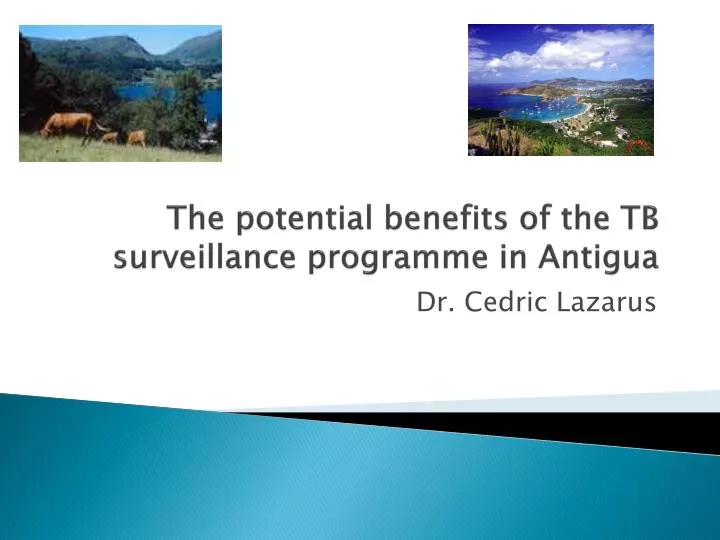the potential benefits of the tb surveillance programme in antigua