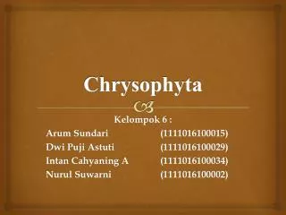 chrysophyta