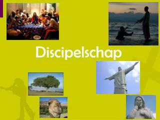 Discipelschap