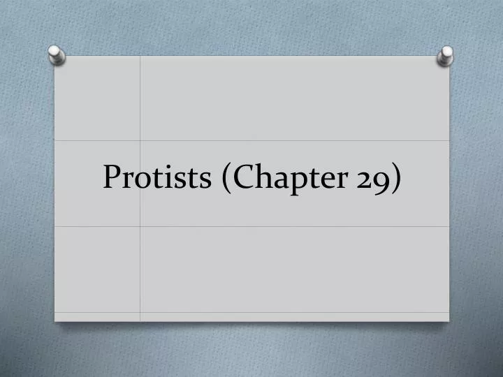 protists chapter 29
