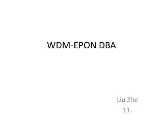 WDM-EPON DBA