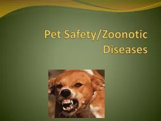 Pet Safety/Zoonotic Diseases