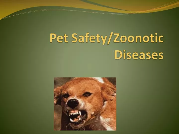 pet safety zoonotic diseases
