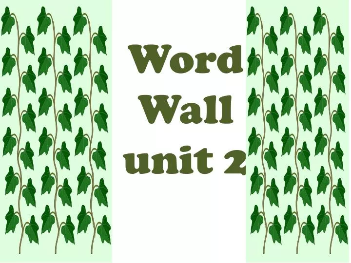 word wall unit 2