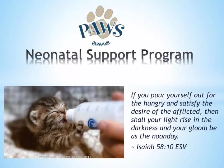 neonatal support program