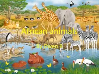 African animals