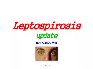 Leptospirosis update