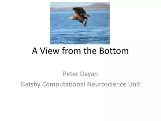 A View from the Bottom