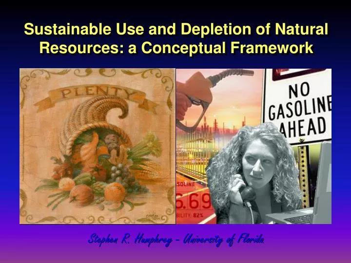 sustainable use and depletion of natural resources a conceptual framework