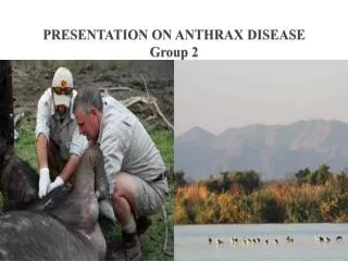 PRESENTATION ON ANTHRAX DISEASE Group 2