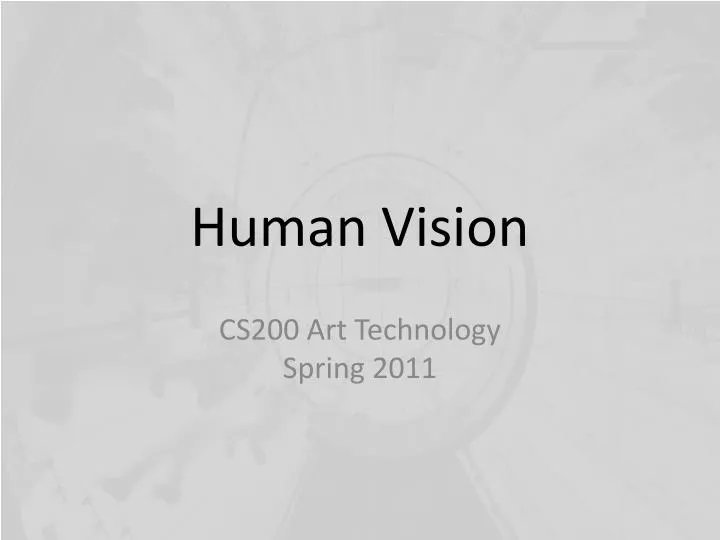 human vision