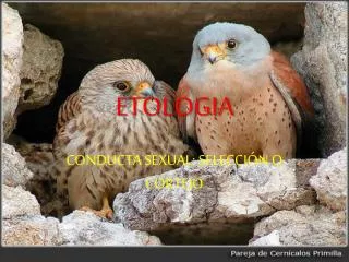 etologia