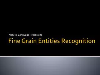 Fine Grain Entities Recognition