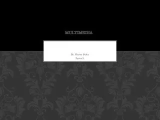 multimedia