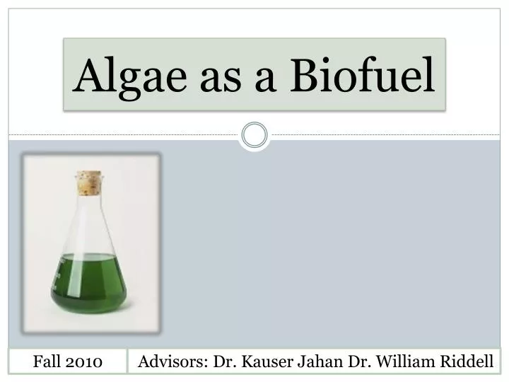 algae as a biofuel