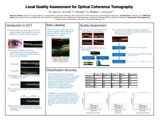 Local Quality Assessment for Optical Coherence Tomography