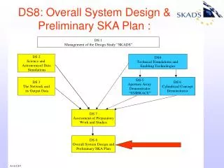 DS8: Overall System Design &amp; Preliminary SKA Plan :