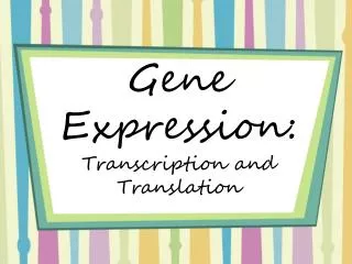 Gene Expression: Transcription and Translation