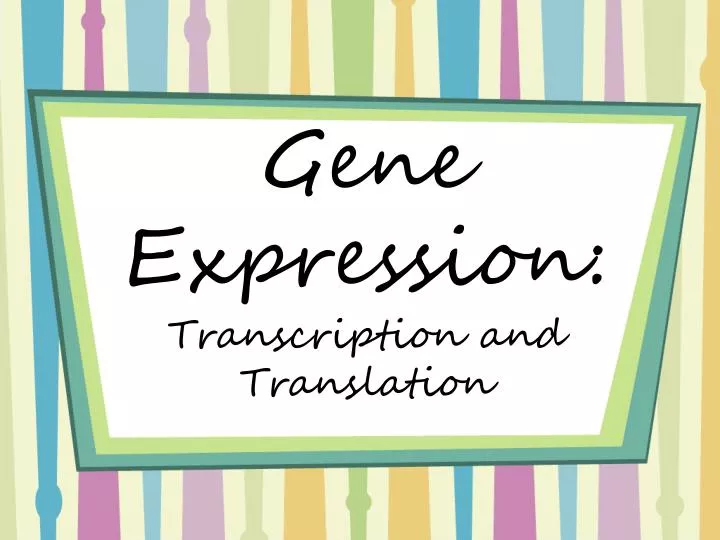 gene expression transcription and translation