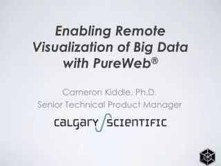 Enabling Remote Visualization of Big Data with PureWeb ®