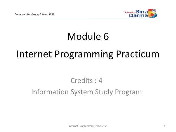 internet programming practicum