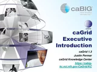 caGrid Executive Introduction