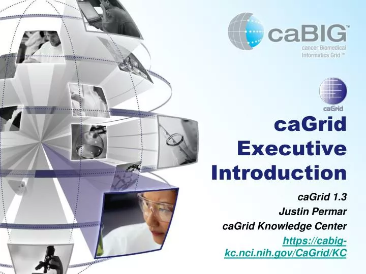 cagrid executive introduction