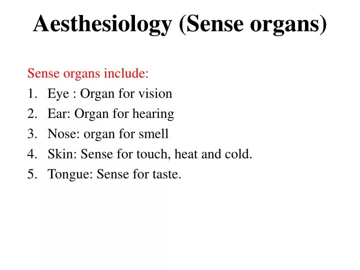 aesthesiology sense organs