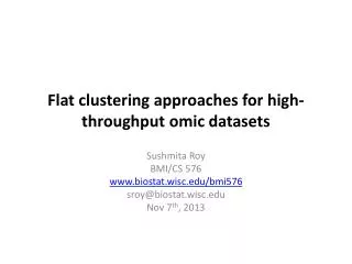 Flat clustering approaches for high-throughput omic datasets