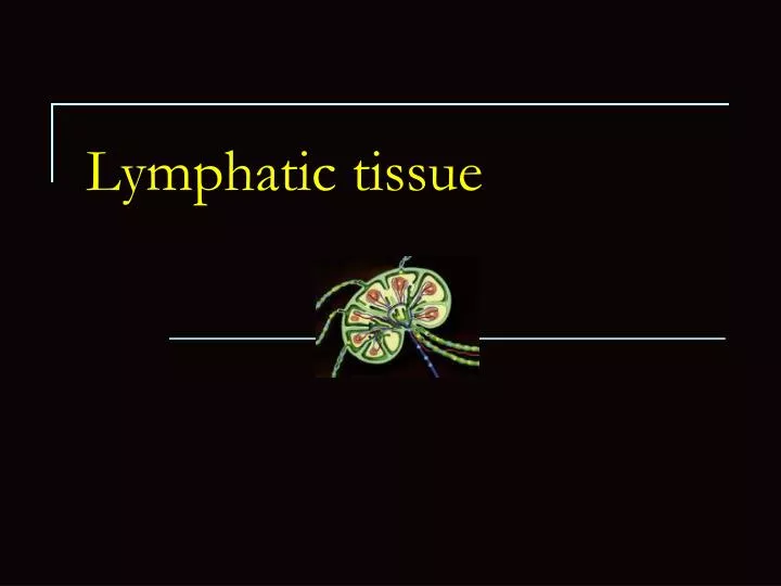 lymphatic tissue