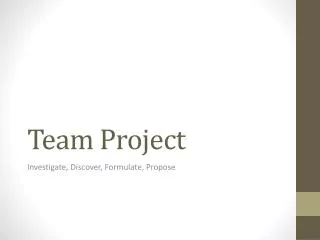 Team Project