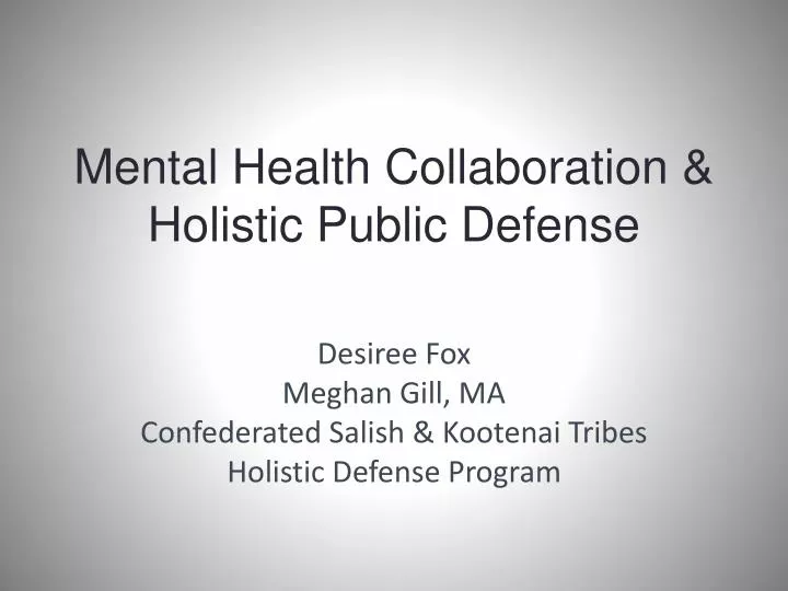 mental health collaboration holistic public defense