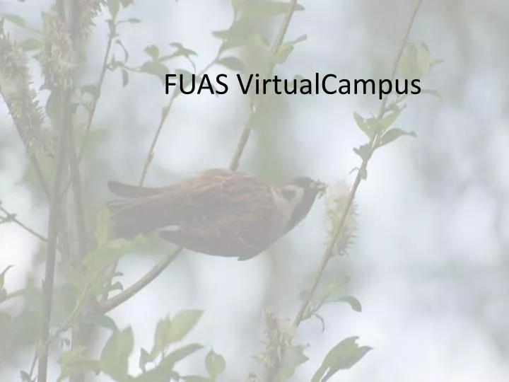 fuas virtualcampus