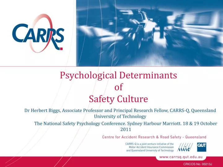 psychological determinants of safety culture