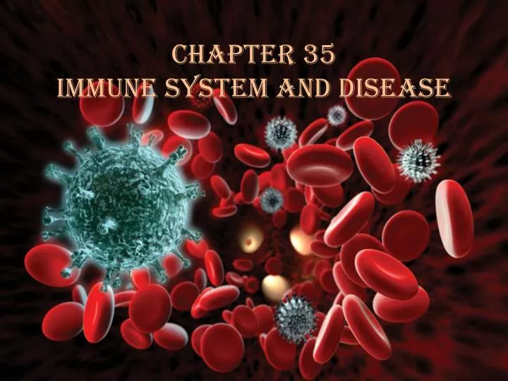 chapter 35 immune system and disease