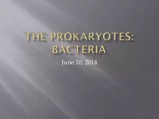 The Prokaryotes: Bacteria