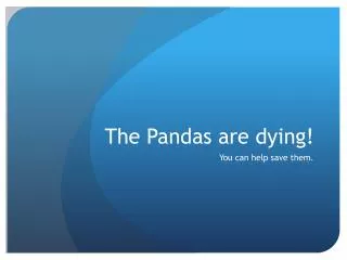 The Pandas are dying!