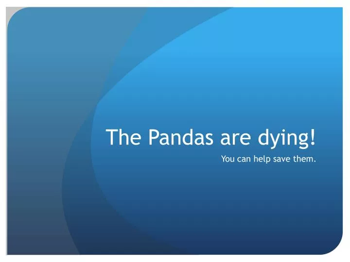 the pandas are dying