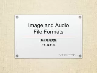 Image and Audio File Formats