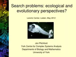 Search problems: ecological and evolutionary perspectives?