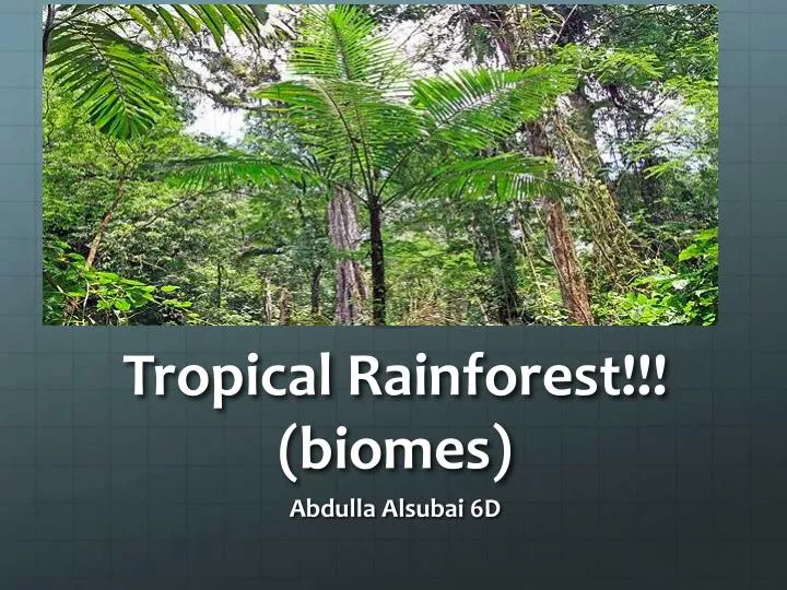 tropical rainforest biomes