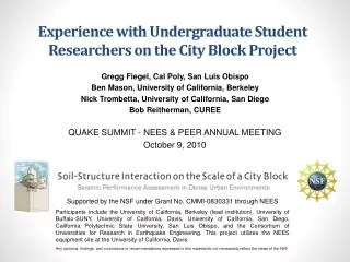 Experience with Undergraduate Student Researchers on the City Block Project