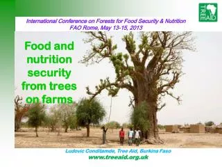 International Conference on Forests for Food Security &amp; Nutrition FAO Rome, May 13-15, 2013