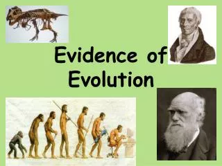 Evidence of Evolution